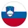 Збірна Словенії з футболу