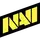 NaVi (Natus Vincere)