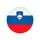 Жіноча збірна Словенії з біатлону