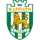 Карпати